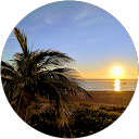 Claudia Dourado profile picture